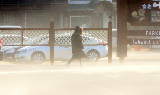 20일 강원 강릉지역에 강한 바람이 불면서 경포 해변을 찾은 관광객들이 거센 모래바람을 피하고자 고개를 숙이고 있다.     이날 동해안에는 순간 최대 풍속이 고성 대진 20.3m, 강릉 강문 16.9m 등 거센 바람이 몰아쳤다.